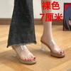Sandalias Transparentes para Mujer Verano Nuevo Plataforma Impermeable con Cristal Tacón Grueso Alto con Sensación de Mierda Chanclas de Abrigo de Verano