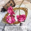 Alto nível artificial flor estrela lua rosa casamento estrada guia arranjo de flores sala estar decoração casamento decoração foto flor falsa
