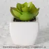 Suculentas Simuladas Personalizadas Cerámica Bonsái Plantas Verdes Escandinavas Adornos Hogar Interior Sala de Estar Flores Falsas Suculentas Plantas en Maceta