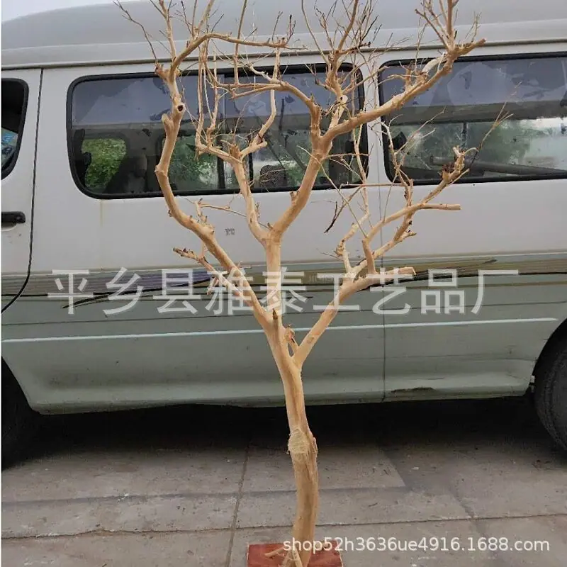 420ED9B475BF244F28285009A53C05