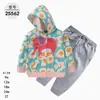 Comercio Exterior Ropa Infantil Primavera y Otoño Conjunto Infantil de Dos Piezas Material Sudadera Sudadera con Capucha Ropa Infantil para Bebés Ropa de Salida [Al por Mayor]