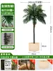 Grande Palmeira Areca Simulada Planta Tropical Coqueiro Planta Verde Biônica de Interior Árvore Falsa Atmosfera Paisagismo Ornamentos em Vaso