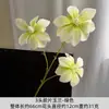 3 Flores de Magnólia Artificiais para Decoração de Corredor de Casamento, Banquete de Noivado e Arranjo de Quarto de Casamento