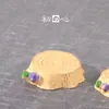 20 Estilos Mirando el Cielo Estrellado Tamaño Mini Accesorios de Paisaje Micro Animales Artesanía de Resina Accesorios para Macetas