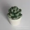 Maceta de flor de cactus de cerámica decoración del hogar planta de simulación cerámica de porcelana artesanías de cerámica decoración creativa exportación