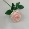 Série Cor Champanhe Flores Artificiais Casamento Hotel Decoração de Palco Materiais Florais Marcadores de Corredor Flores Penduradas no Teto Rosa Champanhe Claro Materiais Florais