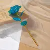 Flor Preservada Rosa com Folha de Ouro Flor Colorida Dia dos Namorados Chinês Presente de Aniversário Presente de Aniversário Ornamento Atacado