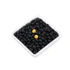 Frijoles Negros de Grano Redondo y Centro Amarillo, Frijoles Negros Crudos, Producidos en Granja, Suministro Abundante, Granos Enteros, Dropshipping de una Sola Pieza, Venta al por Mayor y al por Menor