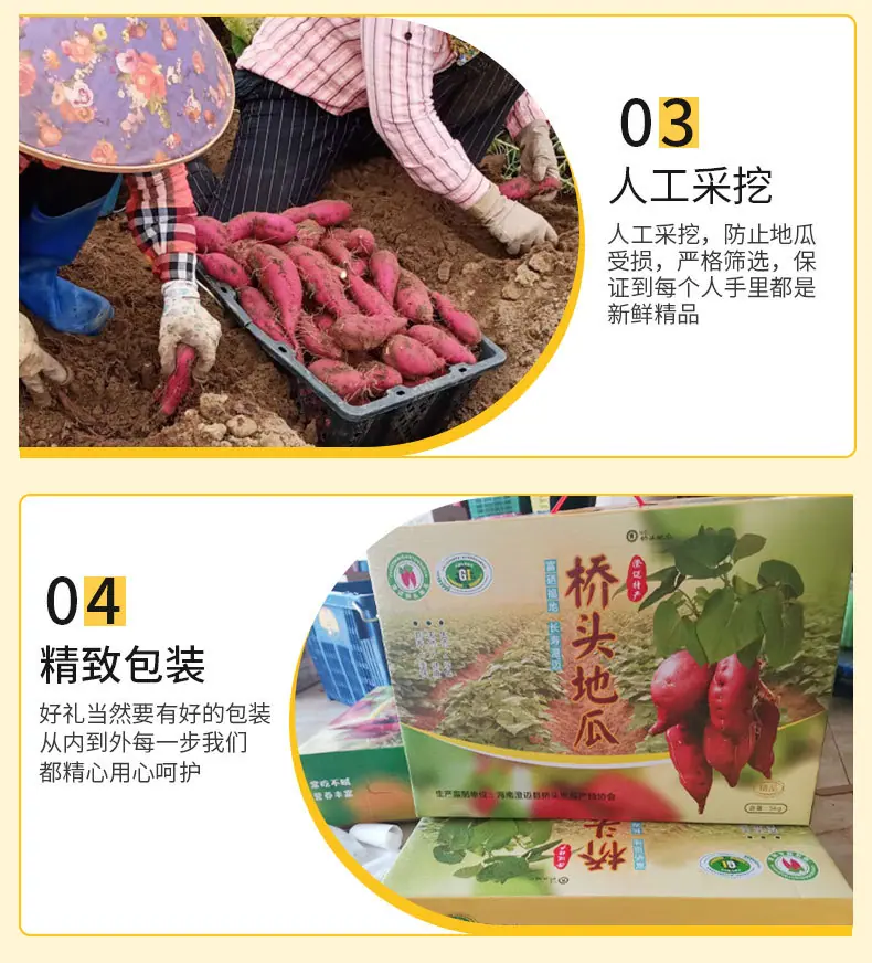 详情790_11.jpg