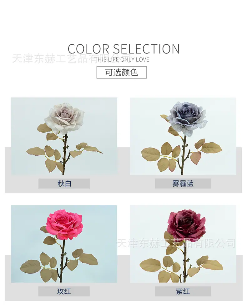 详情_02.jpg