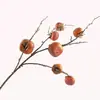 Flores y Ramas de Frutas Simuladas Decorativas Caqui Caqui Adornos Ruyi Arreglo Floral de Año Nuevo de Pie Interior Rama Única Múltiples Cabezas Caqui