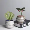 Vaso de Cerâmica para Flores de Mesa Interna, Exclusivo Vaso Pequeno com Suculentas para Escritório, Sala de Estar, Uso Doméstico, Vaso Pequeno Criativo para Orquídeas Suspensas