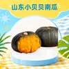 Shandong Little Beibei Abóbora Dropshipping 1/3/ 2.5kg Macio e Mastigável Sabor Castanha Alimento para Bebê Caixa de Presente Legumes Frescos da Estação