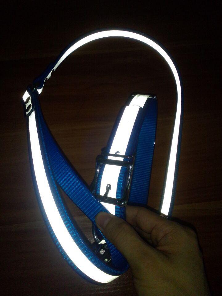 do leash reflective.jpg