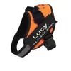 Arnés para Correa de Mascota Más Vendido de Amazon, Correa tipo Chaleco Anti-Shock para Perro, Arnés K9, Venta Directa del Fabricante