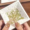 Decorações de Nail Art Tendência Novas em Zircônia Navete Dourada, Strass Brilhantes em Formato de Espiga de Trigo e Gota d'Água, Strass de Unha de Alto Brilho