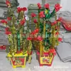 Conjunto Árvore da Fortuna Árvore da Fortuna de Plástico Quatro Camadas Incluindo Vaso da Árvore Árvore da Fortuna Yunyang Suprimentos Funerários