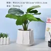 Vasos de Flores de Porcelana Branca Transfronteiriços Amazon Vasos de Cerâmica Simples Criativos Preto e Branco para Orquídeas de Interior Plantas Verdes