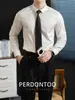 Minimalismo! Camisa Masculina de Manga Longa Resistente a Amassados, Toque de Seda, Não Precisa Passar, para Primavera e Outono, High-End, para Ir ao Trabalho, Cor Sólida, Formal Profissional