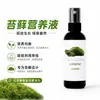 Fertilizante Especial para Musgo Solución Nutritiva, Fertilizante Líquido para Plantas Verdes en Maceta, No Requiere Dilución, Fertilizante para Tratar Hojas Amarillas, Un Rociado para Crecimiento Rápido, No Requiere Dilución
