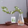 Baoshi Nieve de junio maceta hidropónica bonsái forma de acantilado oficina interior mesa fácil de cuidar plantas de follaje mesa de centro agua