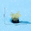 Paisagem em miniatura de comércio exterior transfronteiriço, pequeno coral que brilha no escuro, decoração de aquário oceânico, acessórios DIY, enfeites de garrafa ecológica