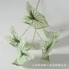 Materiales Florales Bosque Verde para Bodas, Hojas, Decoración de Salón de Bodas, Flores Artificiales, Flores Falsas, Plantas Verdes, Materiales Florales Naturales, Organización