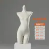 Accesorios para Maniquí de Lencería Maniquí Femenino de Medio Cuerpo Soporte de Exhibición para Sujetador Pijama Soporte para Maniquí de Ropa Interior Disponible en 20 Colores