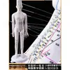 Folha de Cobre para Acupuntura Uso Doméstico Medicina Tradicional Chinesa Silicone Modelo de Diagrama de Meridianos do Corpo Humano com Pontos de Acupuntura