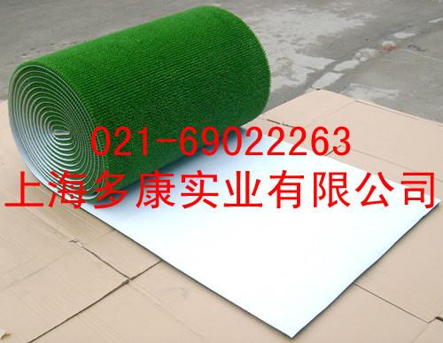 S6303738_副本