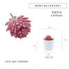 Simulación de chihuahua rojo carnoso flocado en maceta, adorno de escritorio, regalo, pequeño bonsái verde, planta de simulación TEMU