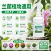 Solución Nutritiva Especializada para Orquídeas y Otras Plantas, Promoviendo Floración Rápida y Flores Abundantes, Adecuada para Jardinería Casera