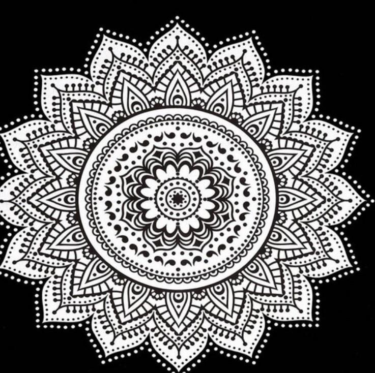 黑色五角花