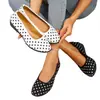 Zapatos planos de exportación transfronteriza con estampado de lunares y punta fina, corte bajo, suela blanda, zapatos casuales para mujer, simples y versátiles para el uso diario