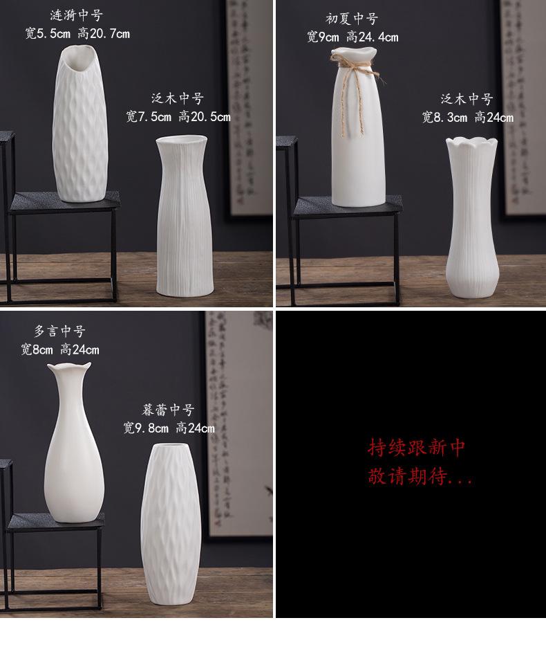 花瓶大白_14.jpg