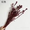 [Flor roja de Año Nuevo] Arreglo floral para el festival de Año Nuevo, decoración de bodas, flor eterna, decoración de flores secas de Año Nuevo