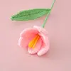 Dia da Deusa Dia das Mães Dia do Professor Flor de Lã Crochê Flor de Tulipa Desabrochando Galho Flor Acabada Presente Quente e Aconchegante