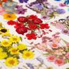 Flores secas y especímenes de plantas de flores marco de fotos repujado a mano marcapáginas lámpara de escritorio pegamento nail art suministro transfronterizo venta al por mayor 18 piezas
