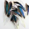 Venda Direta de Fábrica de Quase 100 Tipos de Acessórios Naturais de Penas Pequenas para Joias DIY, Acessórios de Cabeça, Broches, Chapéus, Materiais de Decoração para Artesanato