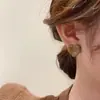 Otoño e Invierno Nuevos Pendientes Serie Maillard Marrón Retro Lujo Ligero Estilo Nicho Ins Pendientes Combinables para Mujer Venta al por Mayor