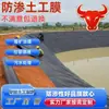 Exportación de geomembranas para balsas de lixiviados mineros, piscinas de tratamiento de aguas residuales, membranas anti-filtración de 1.5 mm y geomembranas de HDPE para balsas de lixiviados