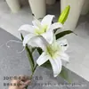 Filme com Toque de Mão Shoko 2 Cabeças Flor de Lírio Diamante Galho Alto Janela de Casa Nova Paisagismo Flores de Seda Ornatos de Fotografia
