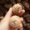 Piñas, piñas, piezas de madera natural, hojas, flores secas, frutas secas, artículos decorativos pequeños para jardín de infantes, accesorios para fotos vintage