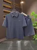 Novo Conjunto Esportivo Casual Masculino de Verão, Camisa Polo com Lapela, Shorts de Manga Curta, Conjunto de Duas Peças, Estilo Coreano, Moderno e Simples