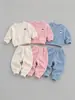 Conjunto de ropa deportiva y casual unisex para bebés y niños, estilo coreano, color liso, con piernas cónicas, adecuado para primavera y otoño, nuevo conjunto de dos piezas