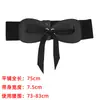 Estilo Coreano Versátil Ins Cintura Elástica Cinturón Ancho para Vestidos de Mujer, Accesorio Decorativo Elástico Retro de Corbata para Cintura