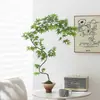 Bonsái de Arce de Agua Corriente con Forma Planta Verde Purificadora de Aire Adorno Decorativo Estilo Zen Chino para Sala de Estar Fácil de Cultivar para Principiantes Bonsái