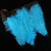 Fabricante 30-35cm Disfraces de Danza de Plumas de Avestruz de Colores Decoración de Bodas Arte Floral Diseño de Puesta de Mesa DIY