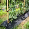 Tela barrera para malas hierbas no tejida tela de control de malezas negra permeable al agua transpirable ecológica control de malezas tela no tejida agrícola negro cubierta de suelo para control de malezas