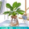 Vaso de Vidro Criativo, Recipiente Transparente para Cultivo em Água de Plantas Verdes, Vaso Pequeno de Luxo Acessível, Decoração para Mesa de Escritório, Ornamentos Modernos